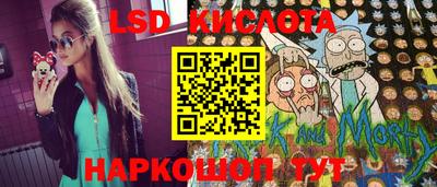 дмт Камышлов