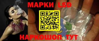 дмт Камышлов