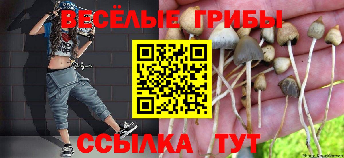 Псилоцибиновые грибы Magic Shrooms  Вход с VPN  Кыштым 